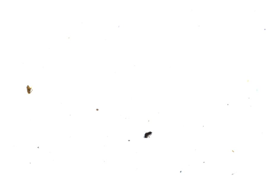 Image 37